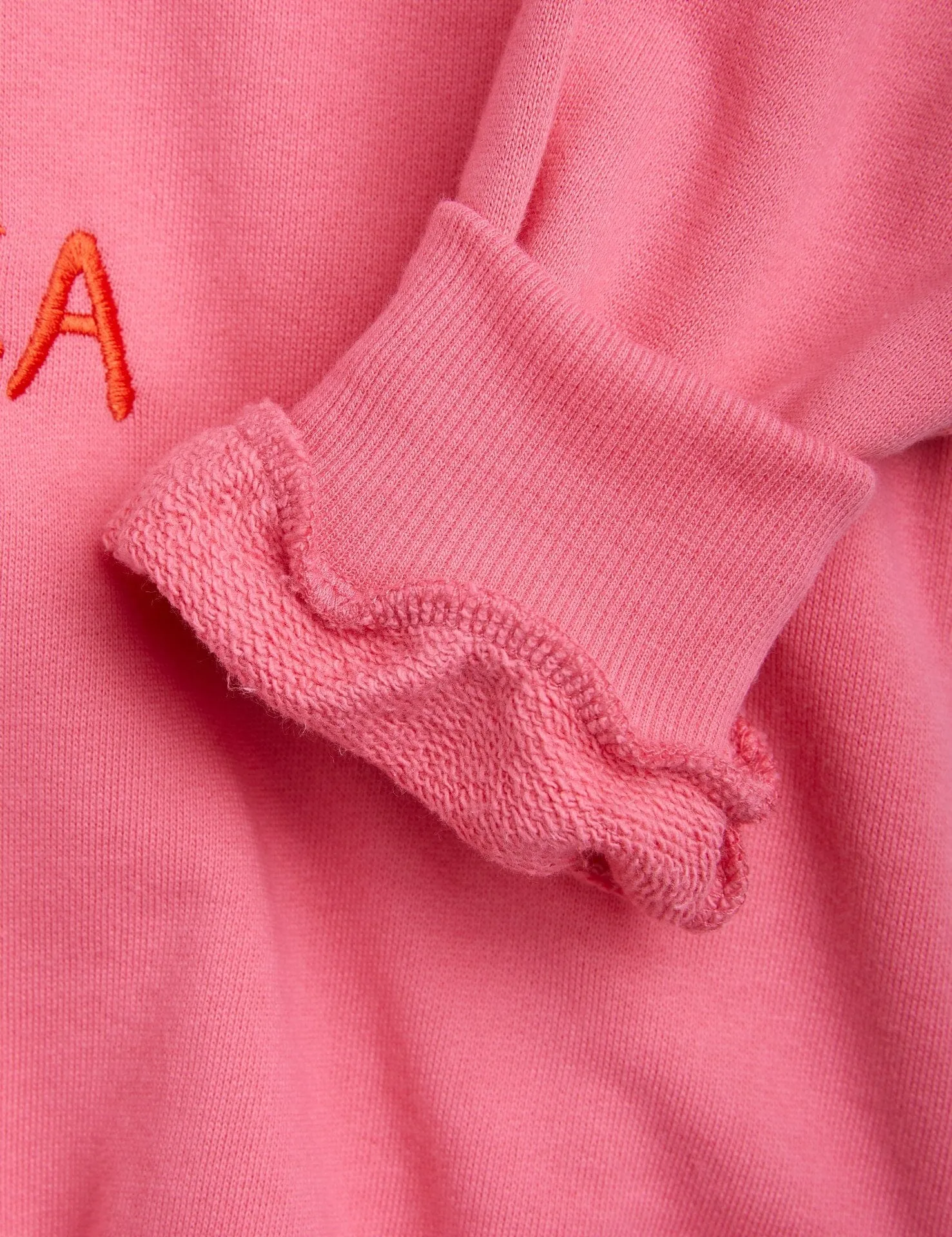 Parrot Embroidered Sweatshirt | Pink