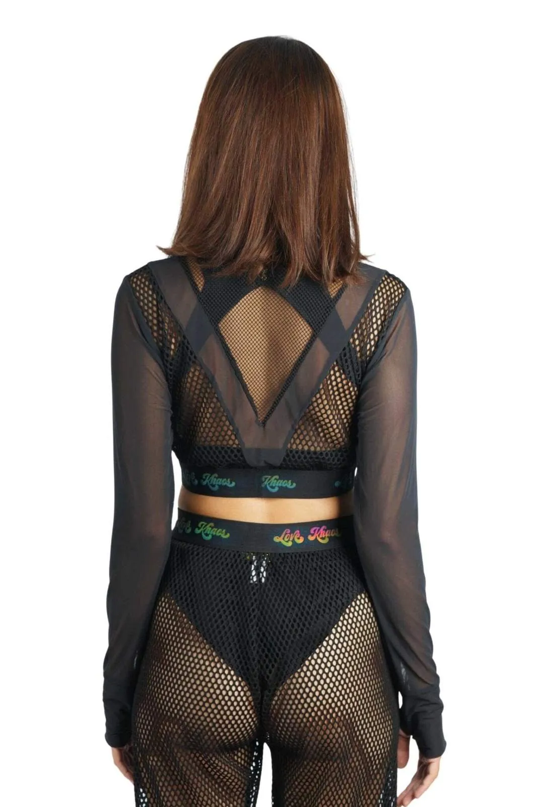 Shadow Long Sleeve Mesh Crop Top